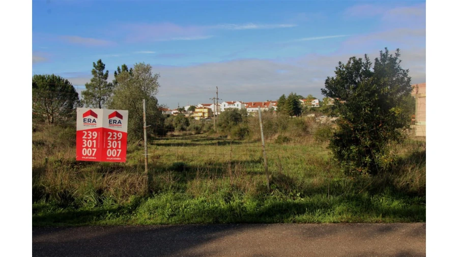 Terreno para Venda em Cernache Foto 1