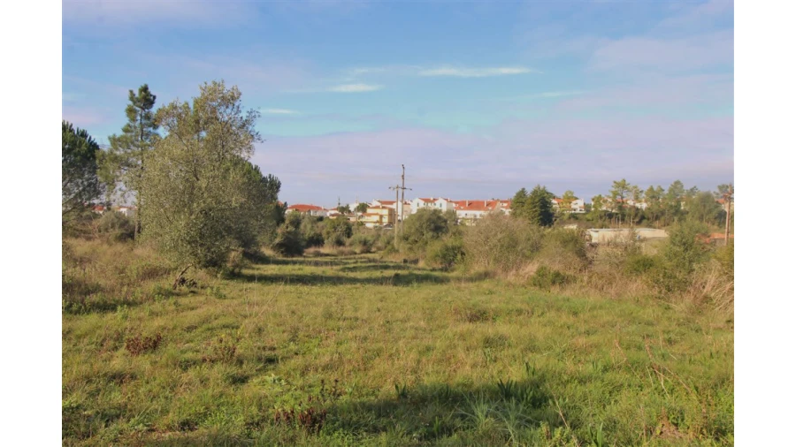 Terreno para Venda em Cernache Foto 2