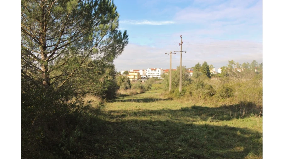 Terreno para Venda em Cernache Foto 10