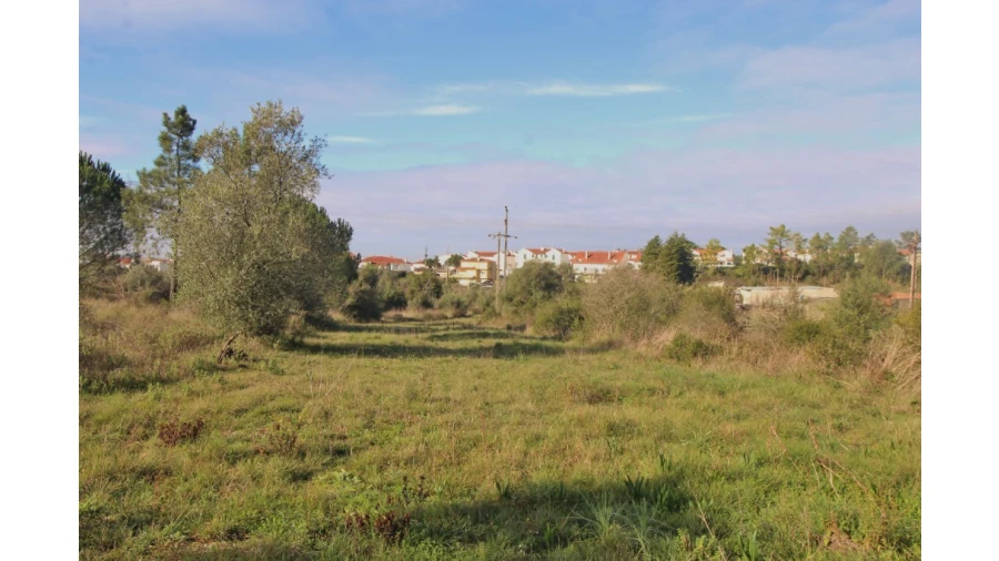 Terreno para Venda em Cernache Foto 9