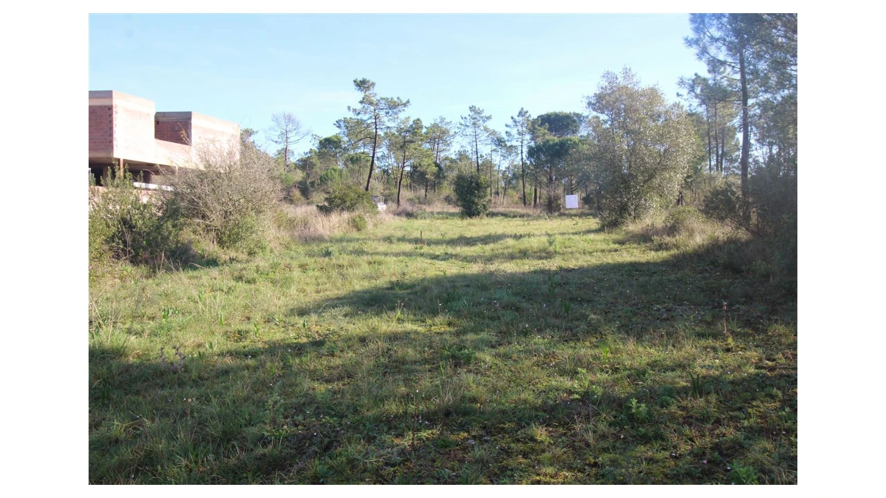 Terreno para Venda em Cernache Foto 4