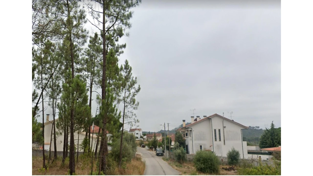 Terreno para Venda em Cernache Foto 6