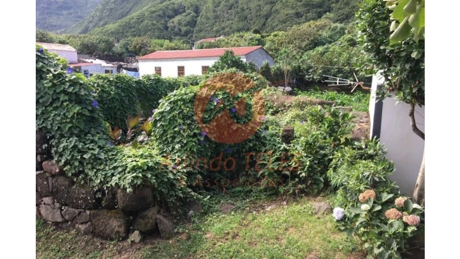 Moradia para Venda em Ribeira Seca Foto 8