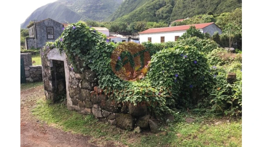 Moradia para Venda em Ribeira Seca Foto 2
