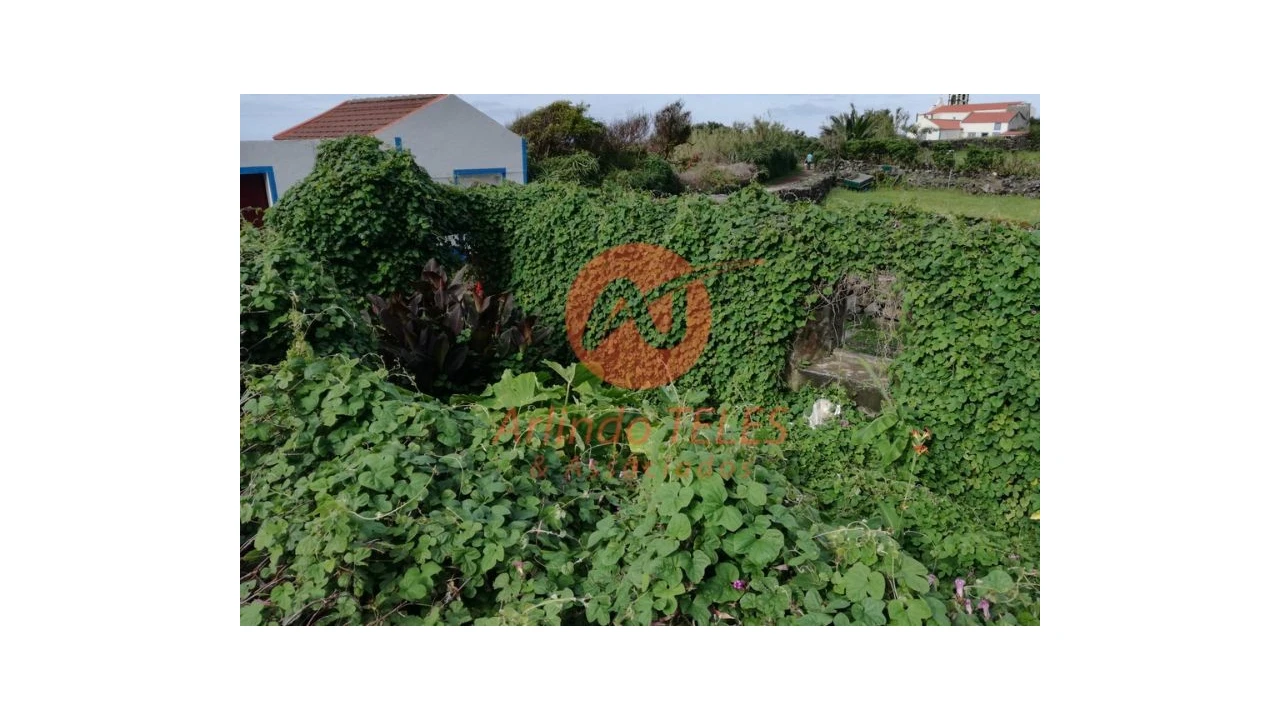 Moradia para Venda em Ribeira Seca Foto 5