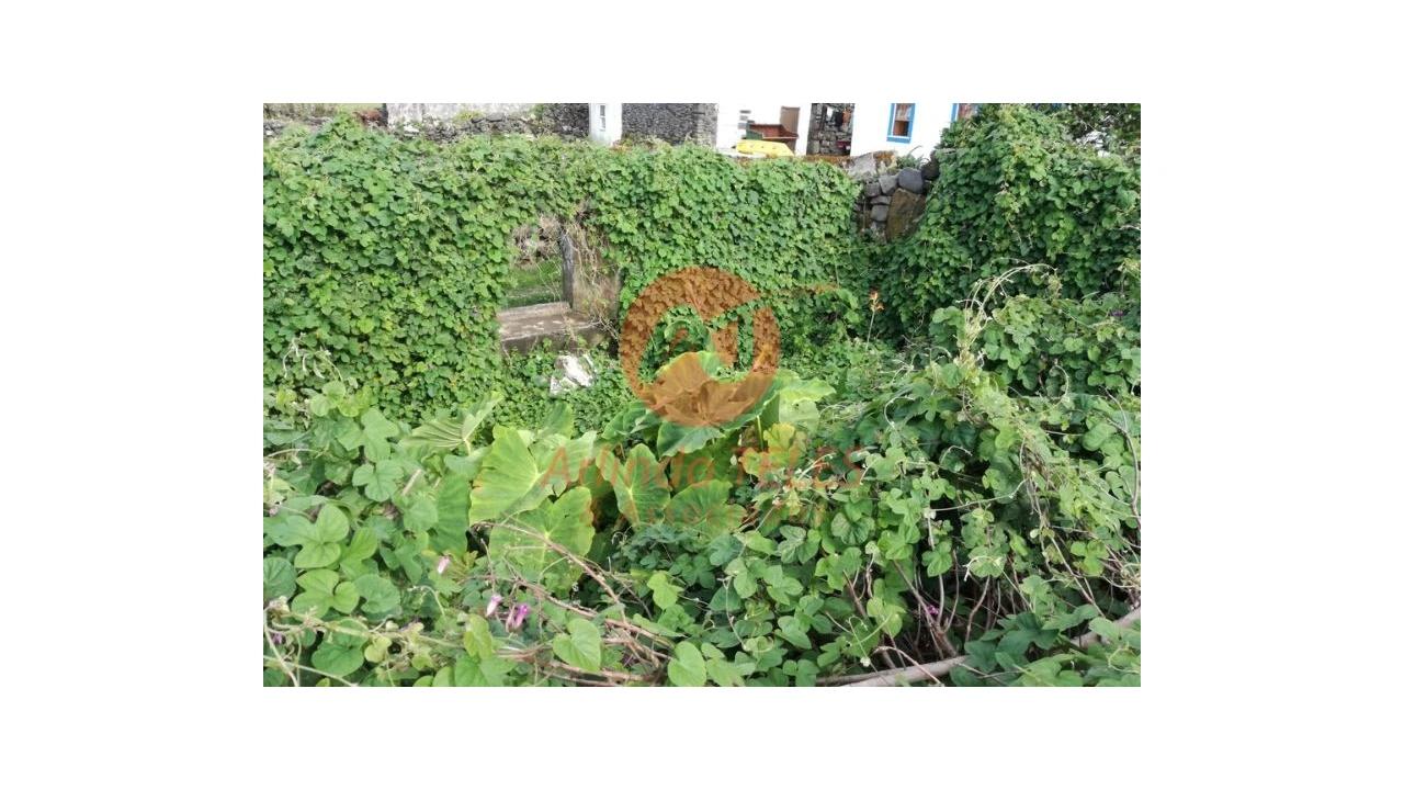 Moradia para Venda em Ribeira Seca Foto 6