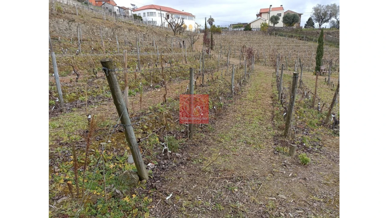 Terreno para Venda em Peso da Régua e Godim Foto 1