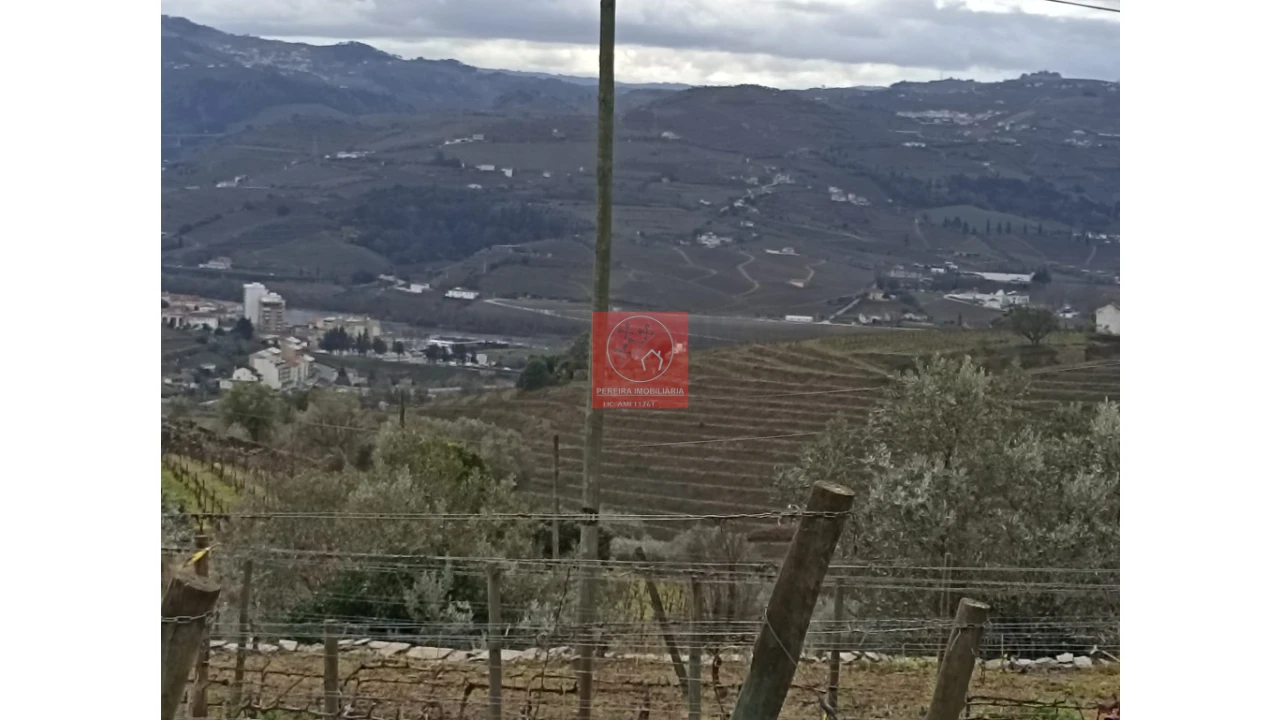 Terreno para Venda em Peso da Régua e Godim Foto 3