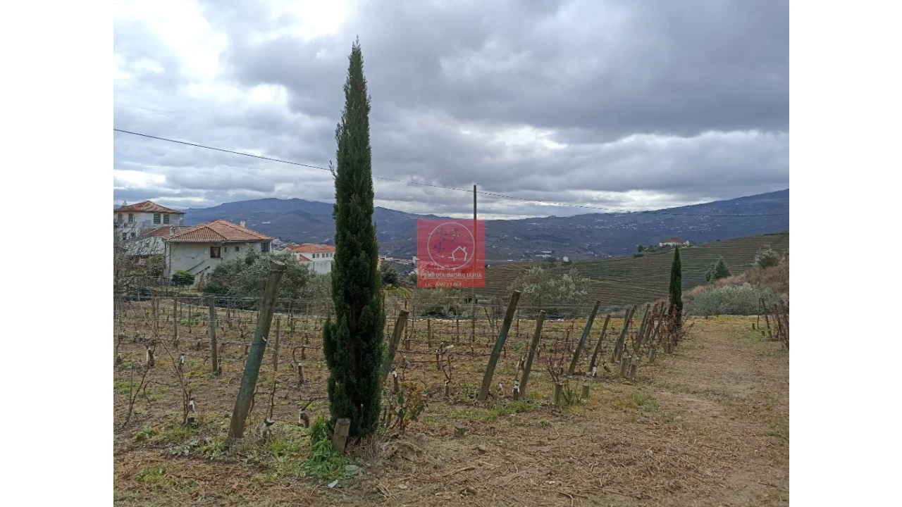 Terreno para Venda em Peso da Régua e Godim Foto 4