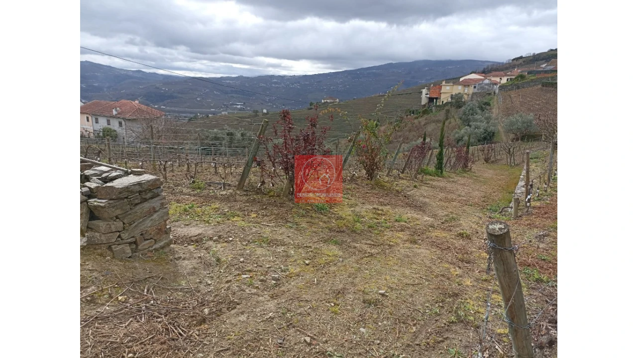 Terreno para Venda em Peso da Régua e Godim Foto 5