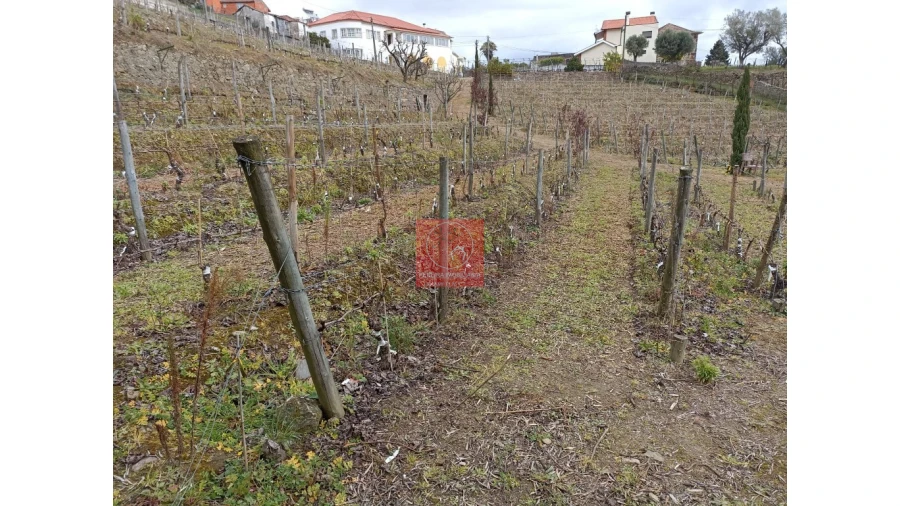 Terreno para Venda em Peso da Régua e Godim Foto 1