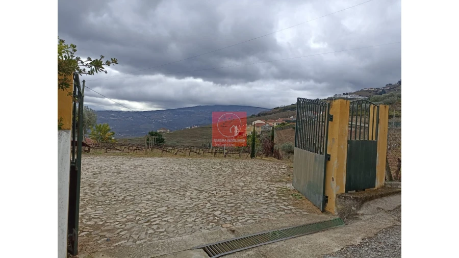 Terreno para Venda em Peso da Régua e Godim Foto 8