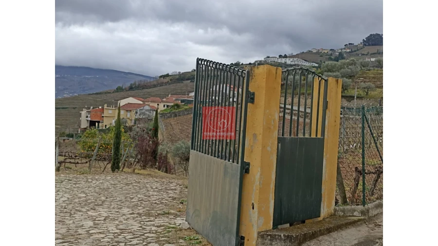 Terreno para Venda em Peso da Régua e Godim Foto 7