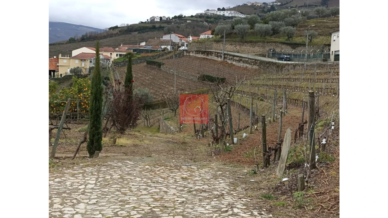 Terreno para Venda em Peso da Régua e Godim Foto 6
