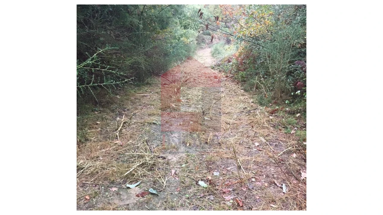 Terreno para Venda em Dossãos Foto 5