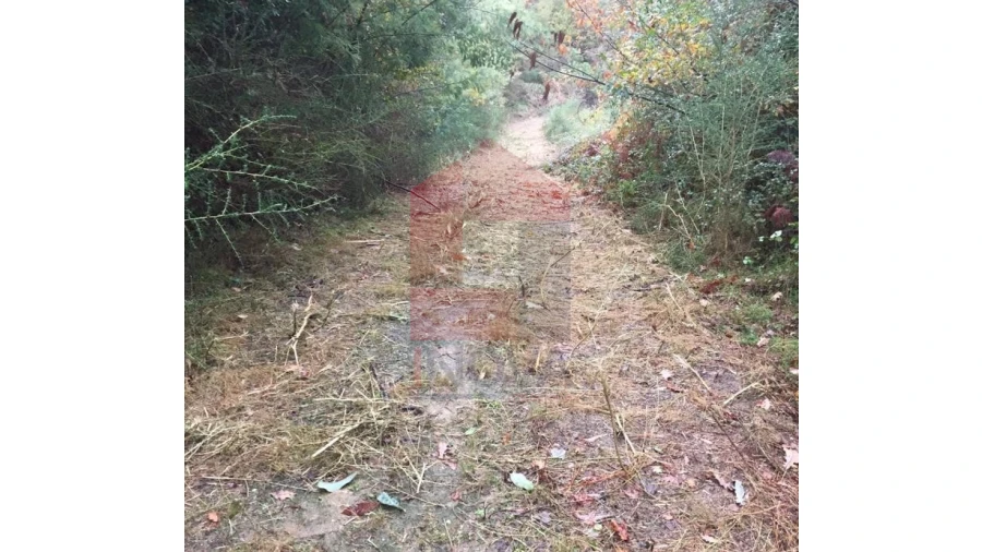 Terreno para Venda em Dossãos Foto 5