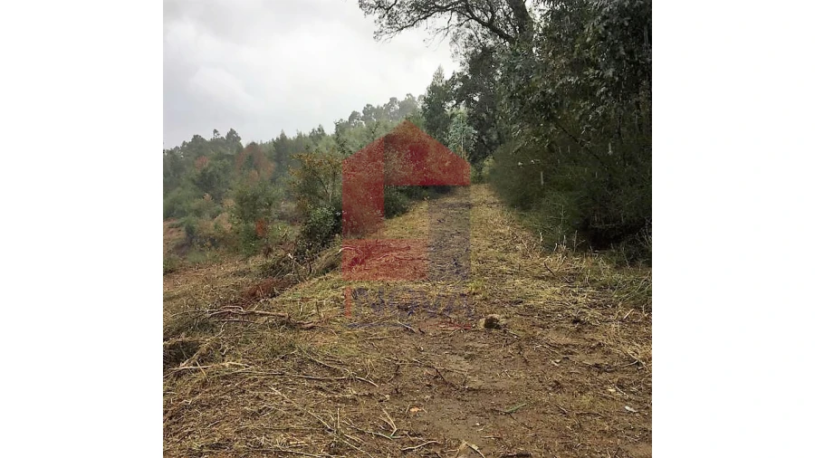 Terreno para Venda em Dossãos Foto 3