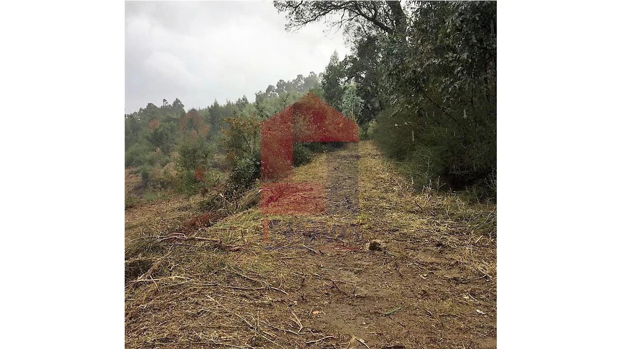 Terreno para Venda em Dossãos Foto 3