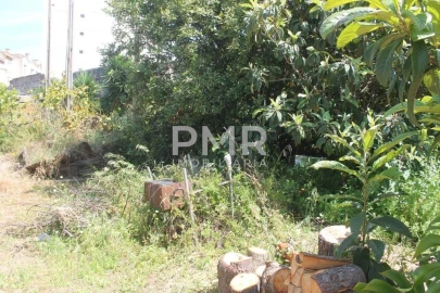 Prédio para Venda em Beato