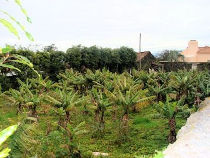 Terreno para Venda em Capelas Foto 6