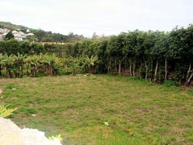 Terreno para Venda em Capelas Foto 4