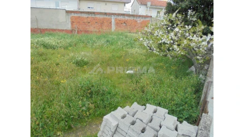 Terreno para Venda em Castelo Branco