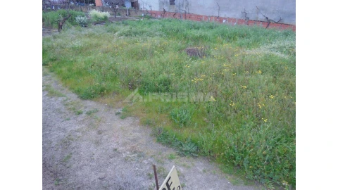 Terreno para Venda em Castelo Branco