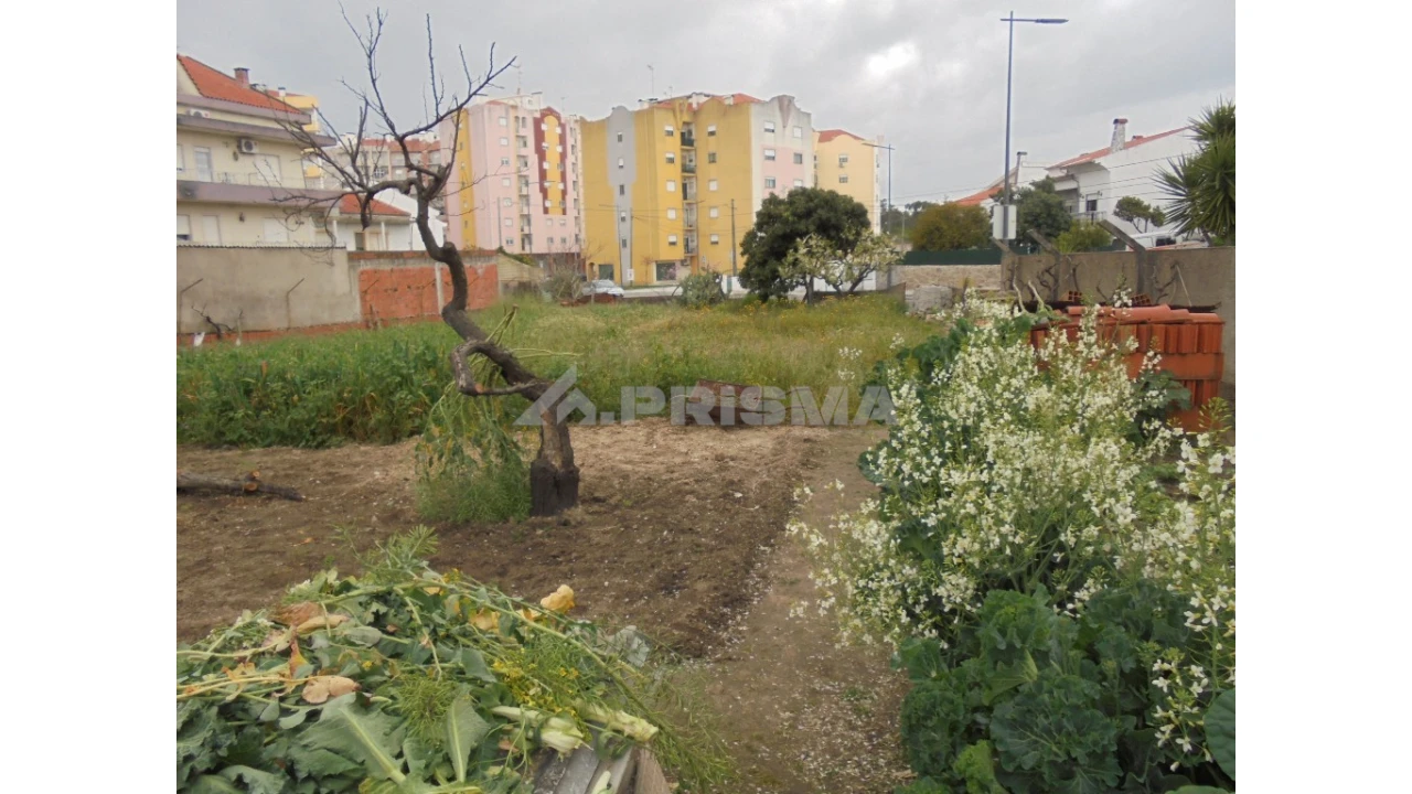 Terreno para Venda em Castelo Branco Foto 1