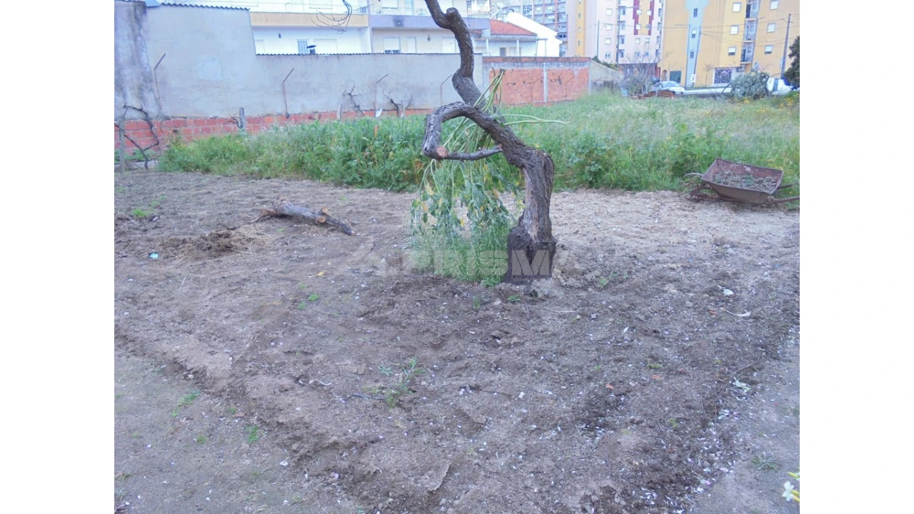Terreno para Venda em Castelo Branco Foto 2