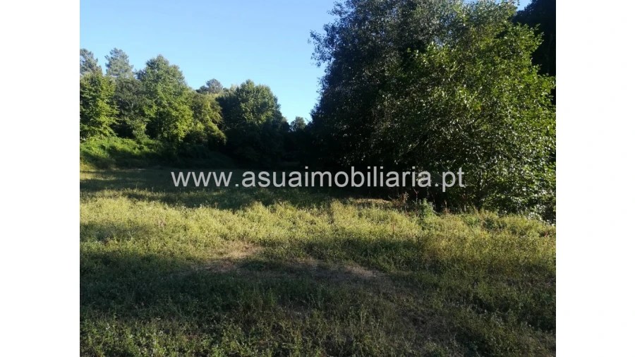 Terreno para Venda em Caldelas, Sequeiros e Paranhos Foto 3