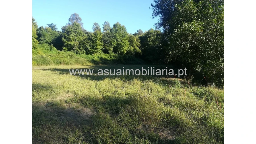 Terreno para Venda em Caldelas, Sequeiros e Paranhos