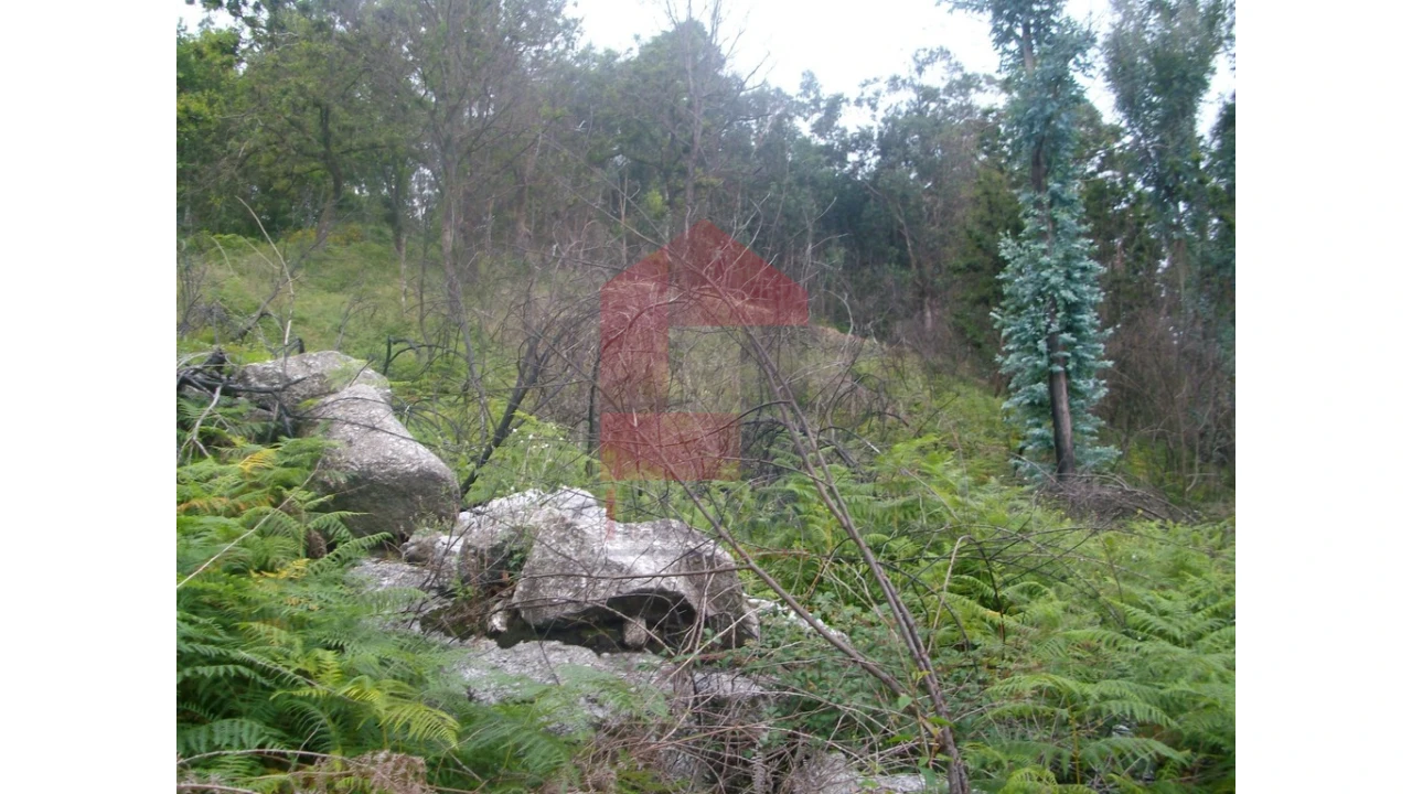 Terreno para Venda em Aboim da Nóbrega e Gondomar Foto 8