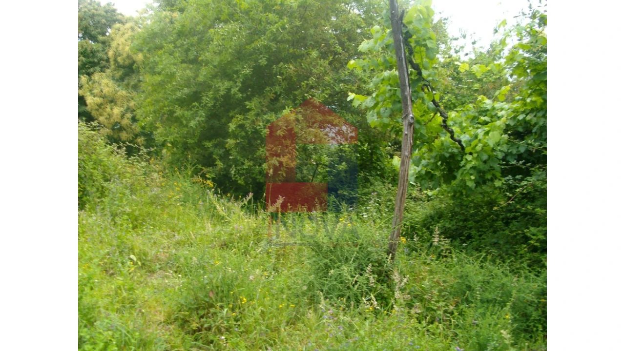 Terreno para Venda em Aboim da Nóbrega e Gondomar Foto 3