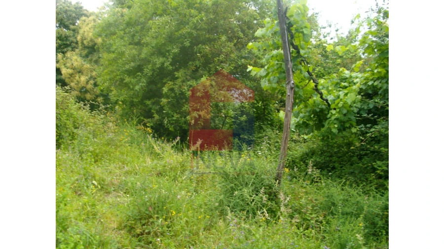 Terreno para Venda em Aboim da Nóbrega e Gondomar Foto 3