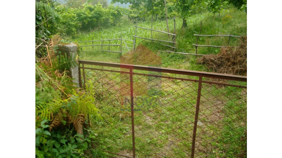 Terreno para Venda em Aboim da Nóbrega e Gondomar Foto 6
