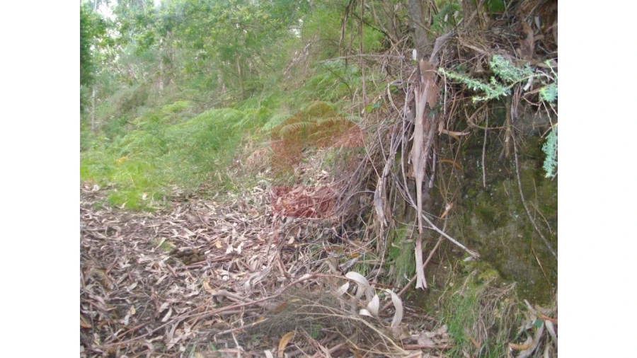 Terreno para Venda em Aboim da Nóbrega e Gondomar Foto 10