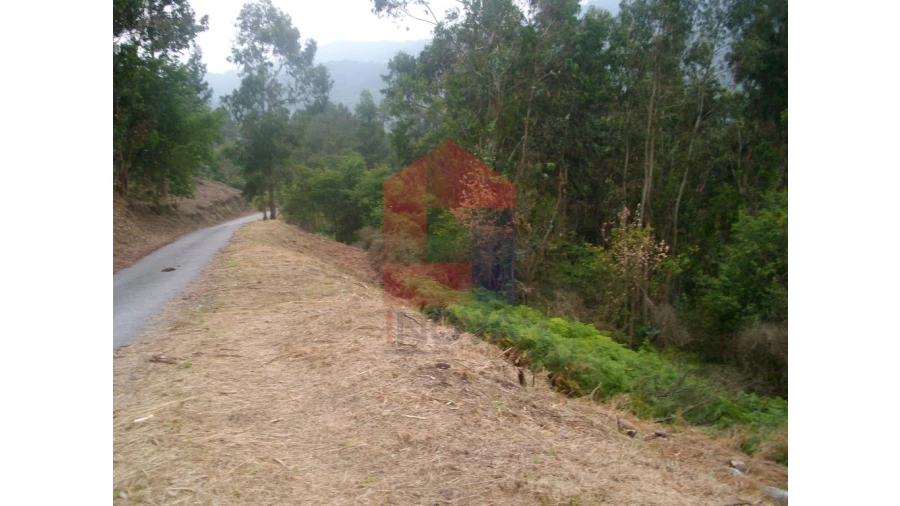 Terreno para Venda em Aboim da Nóbrega e Gondomar Foto 1