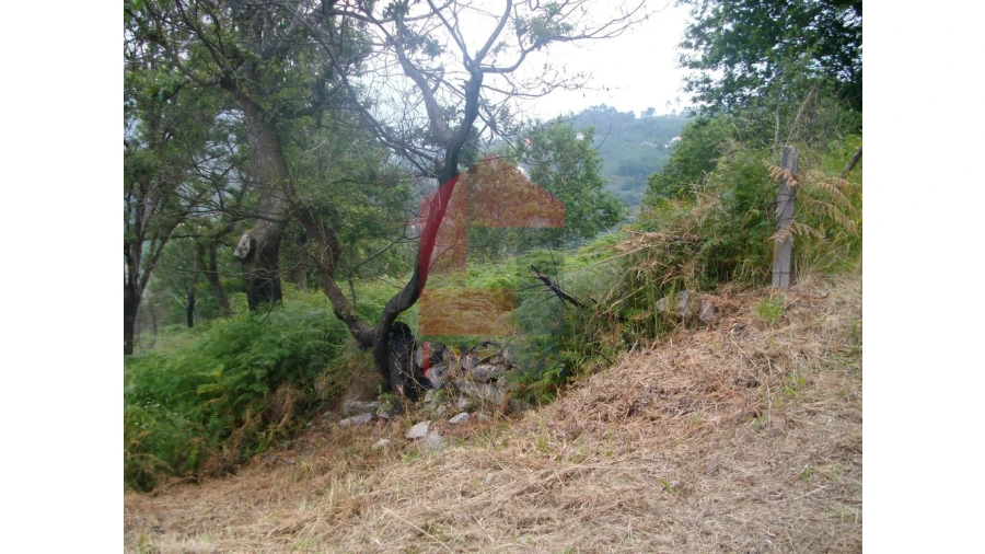 Terreno para Venda em Aboim da Nóbrega e Gondomar Foto 2