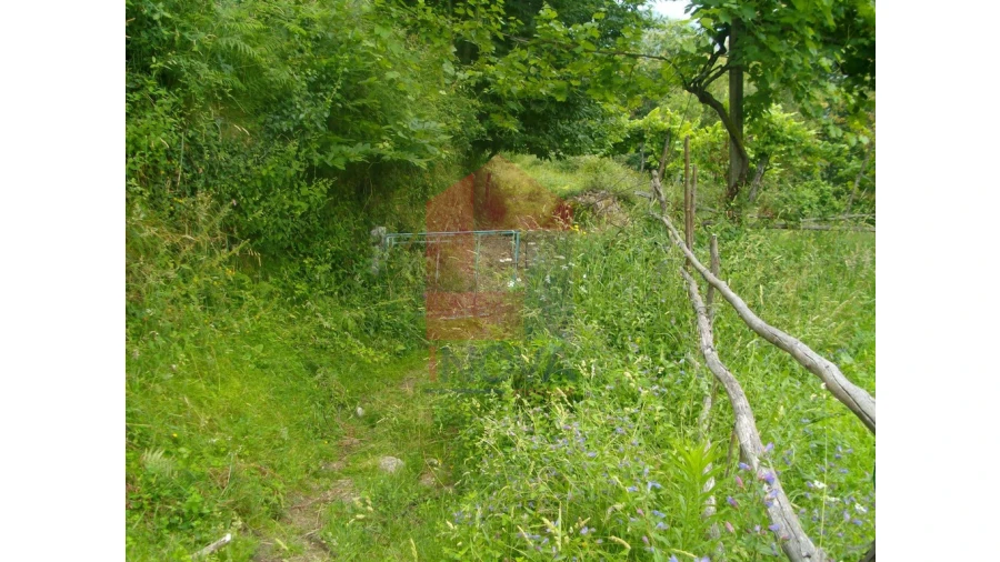 Terreno para Venda em Aboim da Nóbrega e Gondomar Foto 5
