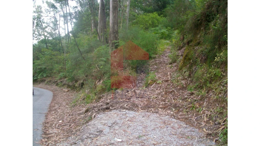 Terreno para Venda em Aboim da Nóbrega e Gondomar Foto 11