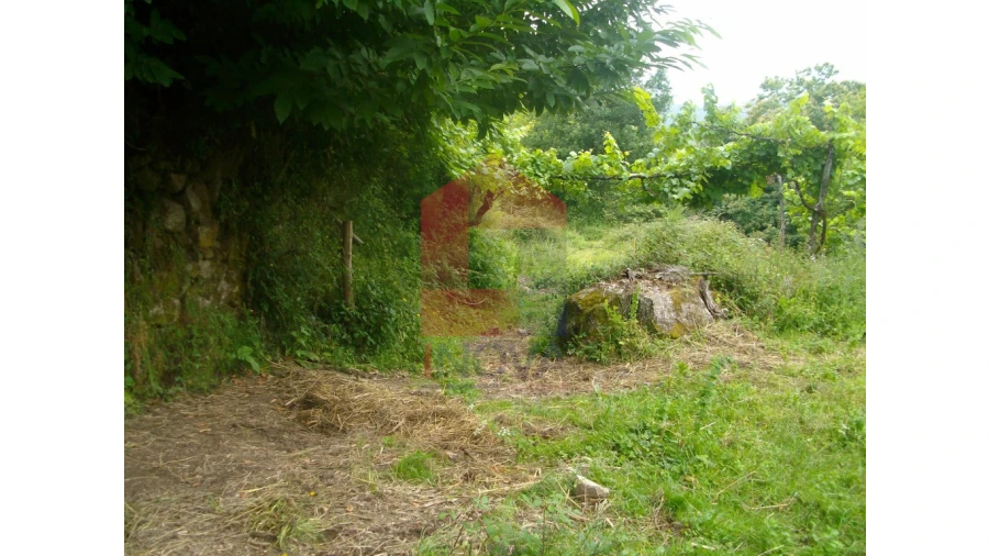 Terreno para Venda em Aboim da Nóbrega e Gondomar Foto 4