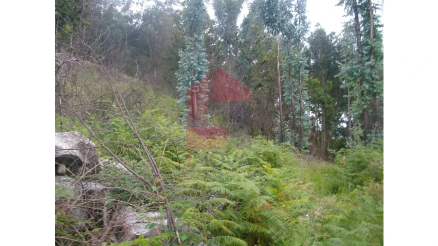 Terreno para Venda em Aboim da Nóbrega e Gondomar Foto 9