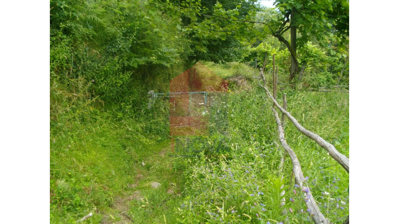 Terreno para Venda em Aboim da Nóbrega e Gondomar Foto 5
