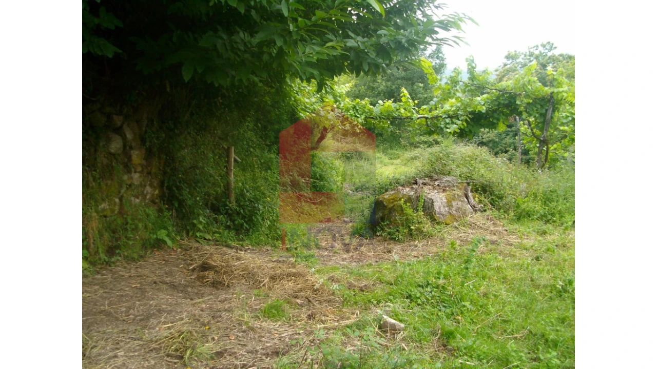 Terreno para Venda em Aboim da Nóbrega e Gondomar Foto 4