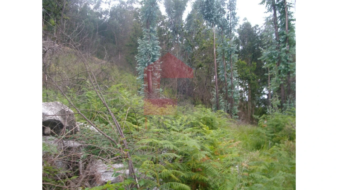 Terreno para Venda em Aboim da Nóbrega e Gondomar Foto 9