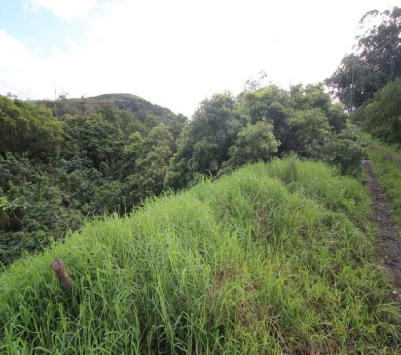 Terreno para Venda em Rabo de Peixe Foto 12