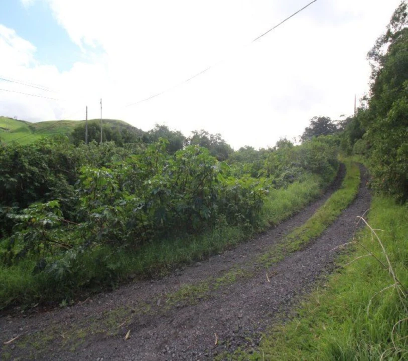 Terreno para Venda em Rabo de Peixe Foto 8