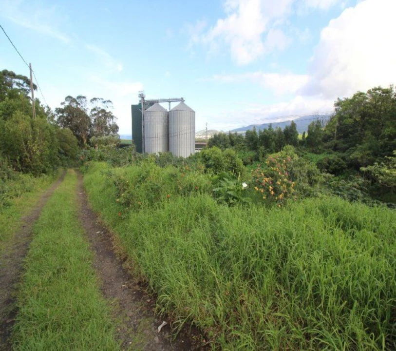 Terreno para Venda em Rabo de Peixe Foto 10