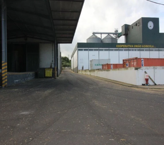 Terreno para Venda em Rabo de Peixe Foto 1