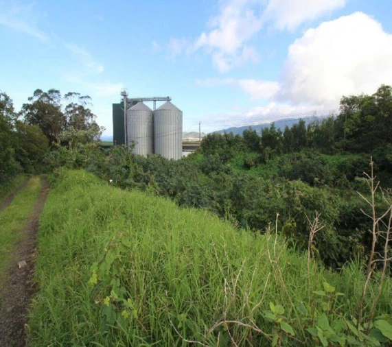 Terreno para Venda em Rabo de Peixe Foto 13